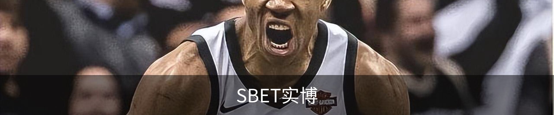 SBET实博(中国大陆)-官方网站